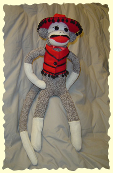 Sock Monkey Fun!