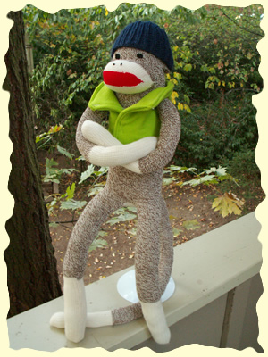 Sock Monkey Fun!