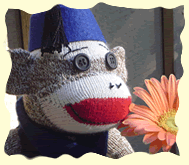 Sock Monkey Fun!